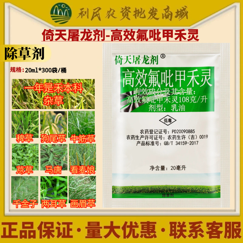 倚天屠龙剂高效氟吡甲禾灵油菜田一年生禾本科杂草除草剂农药