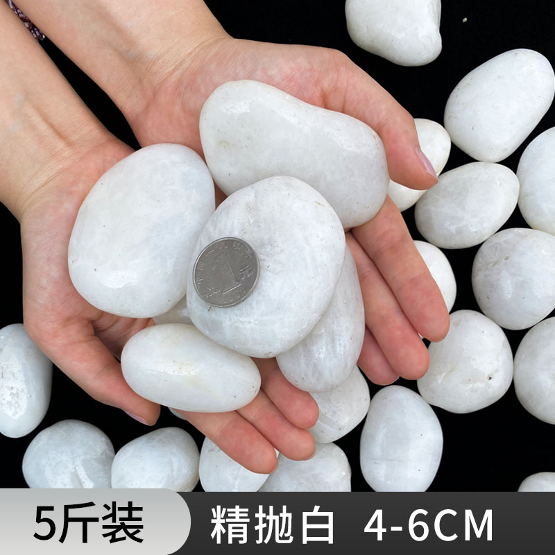 [5kg 팩] 흰 자갈 4-6cm