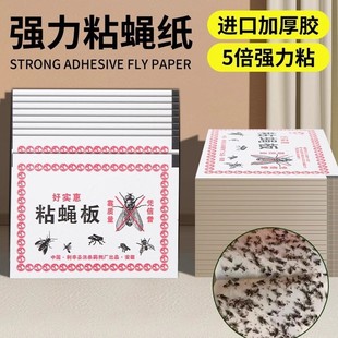 Fly Sticky Fly Paper Sticky Fly Sticky Fly Sticky Fly Sticky Fly Sticky Fly Sticky Fly Sticky Fly Sticky Fly Sticky Fly Sticky Fly Sticky Fly Sticky Fly Sticky Fly Sticky Fly Sticky Fly Sticky Fly Sticky Fly Farm