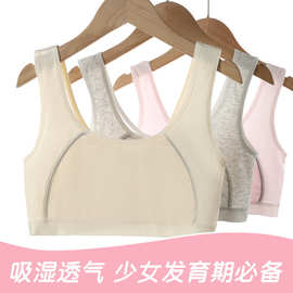 女童内衣发育期10一14岁少女文胸初中小学生一二阶段儿童背心薄款