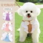 幼犬背心式比熊小狗狗链子