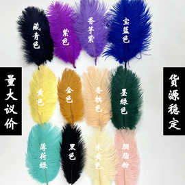 厂家批发彩色鸵鸟羽毛15-20cm婚庆摆件羽毛墙花束diy装饰拍照道具