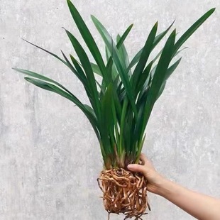 ���ͺ����������m�����҃������m������ī�m���m�󻨰�ޥ�m������