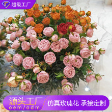 Sҷֲ滨õcҾӿ͏d¼bٻ