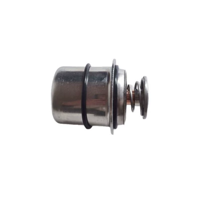 Regulator 5448899, Thermostat