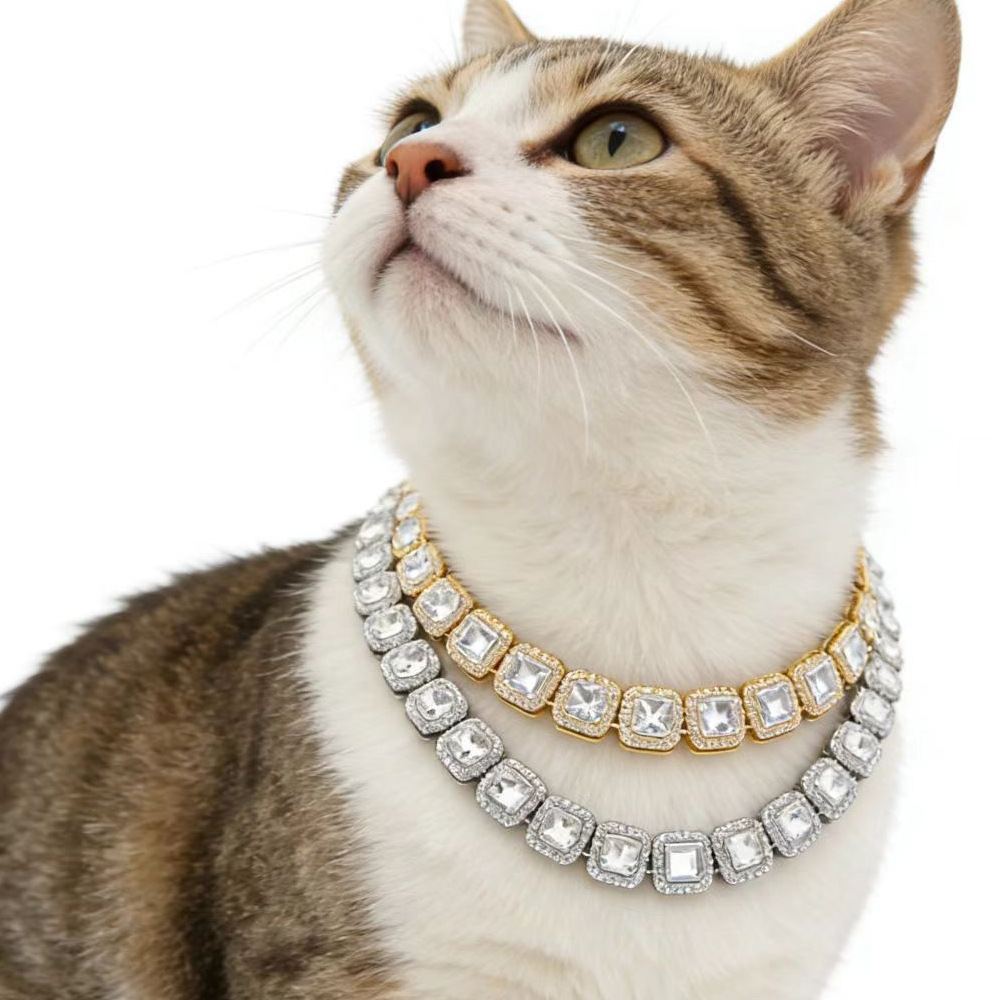 Collar de diamante para mascotas, gato, collar de diamante de doble capa, perros, joyas de diamante, joyas para mascotas de lujo ligero