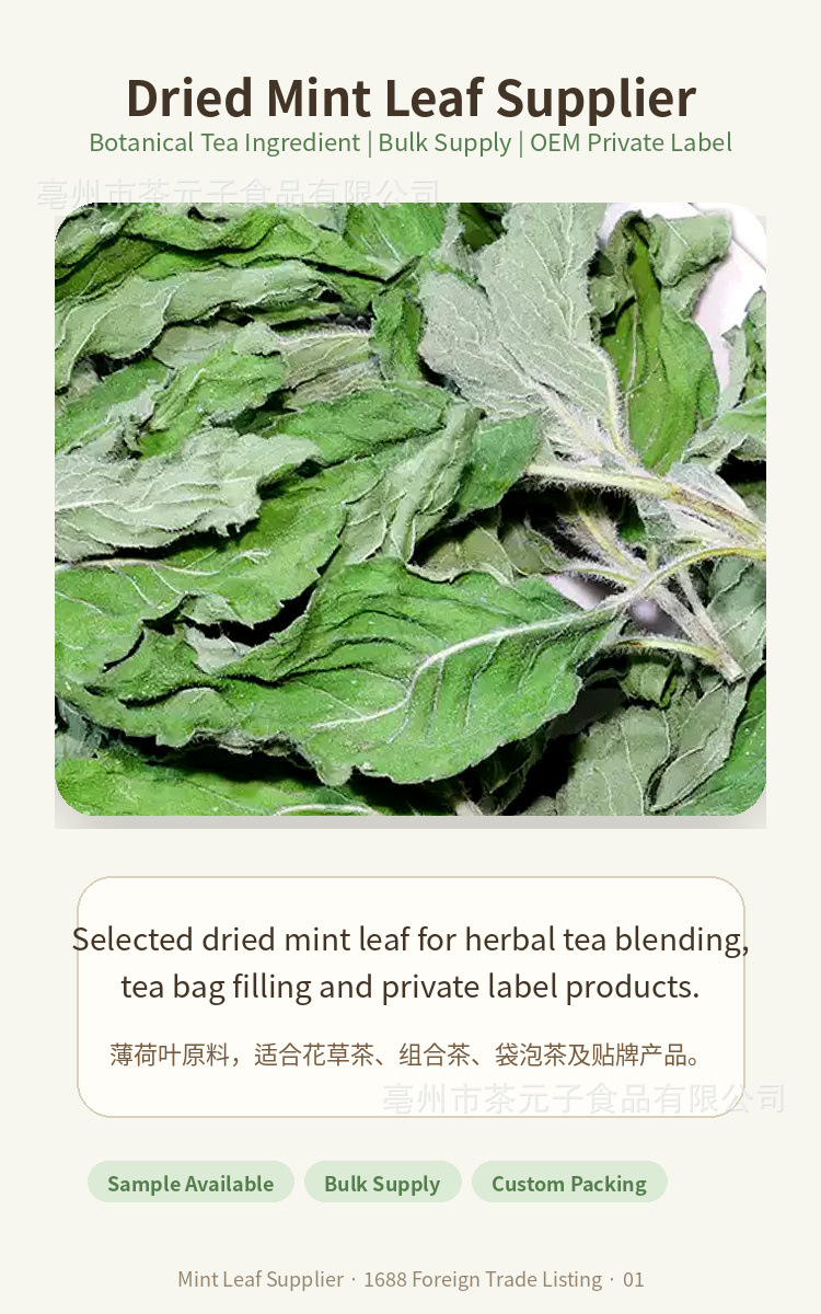 Dried Peppermint Leaf Bo He 薄荷叶 Herbal Tea Ingredient 500g overview