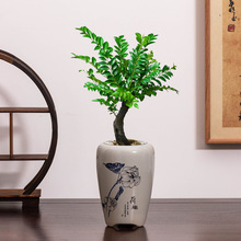 复古粗陶小叶紫檀花盆中式国风手绘高款陶瓷家用透气绿植盆可批发