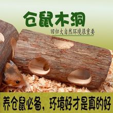 W�}�����ľ����z�ܻ\��������m�i�쾰�␞�������Ԍm��ܸCJ