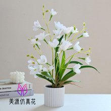 �ٻ����m�辰���滨�����҃Ȕ[���Gֲ���R�d�S�ҷ���Gֲ�����m��