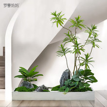 ����ֲ��С�쾰�ٺ������ԾGֲ�̈�����������ؾ��^�辰