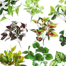 ����Gֲާ�˹�~�ٻ��Gֲ��ֲ��廨��Y�҃��b[�����l