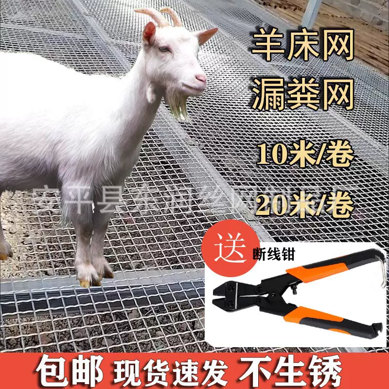 羊床漏粪网不生锈热镀锌钢丝养殖钢丝网羊床钢网钢丝围栏网耐腐蚀