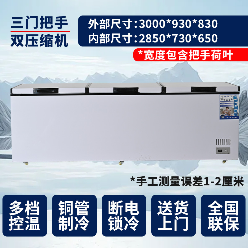 Congelador Xueshixi Congelador comercial horizontal de gran capacidad refrigerado Congelador grande de doble uso Refrigerador de temperatura simple y doble