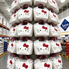 【实拍】新款kitty联名ballchain刺绣女士手提包大容量通勤包可爱