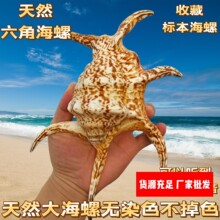 �S��ֱ�N��Ȼ����ؐ�����ݙ����[���Ĕz���� ˮ���� ������