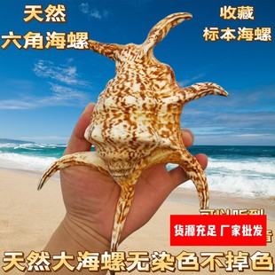 �S��ֱ�N��Ȼ����ؐ�����ݙ����[���Ĕz���� ˮ���� ������