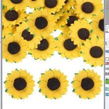 ��������ϲ�Ǻ���� ���տ����滨�S�����l