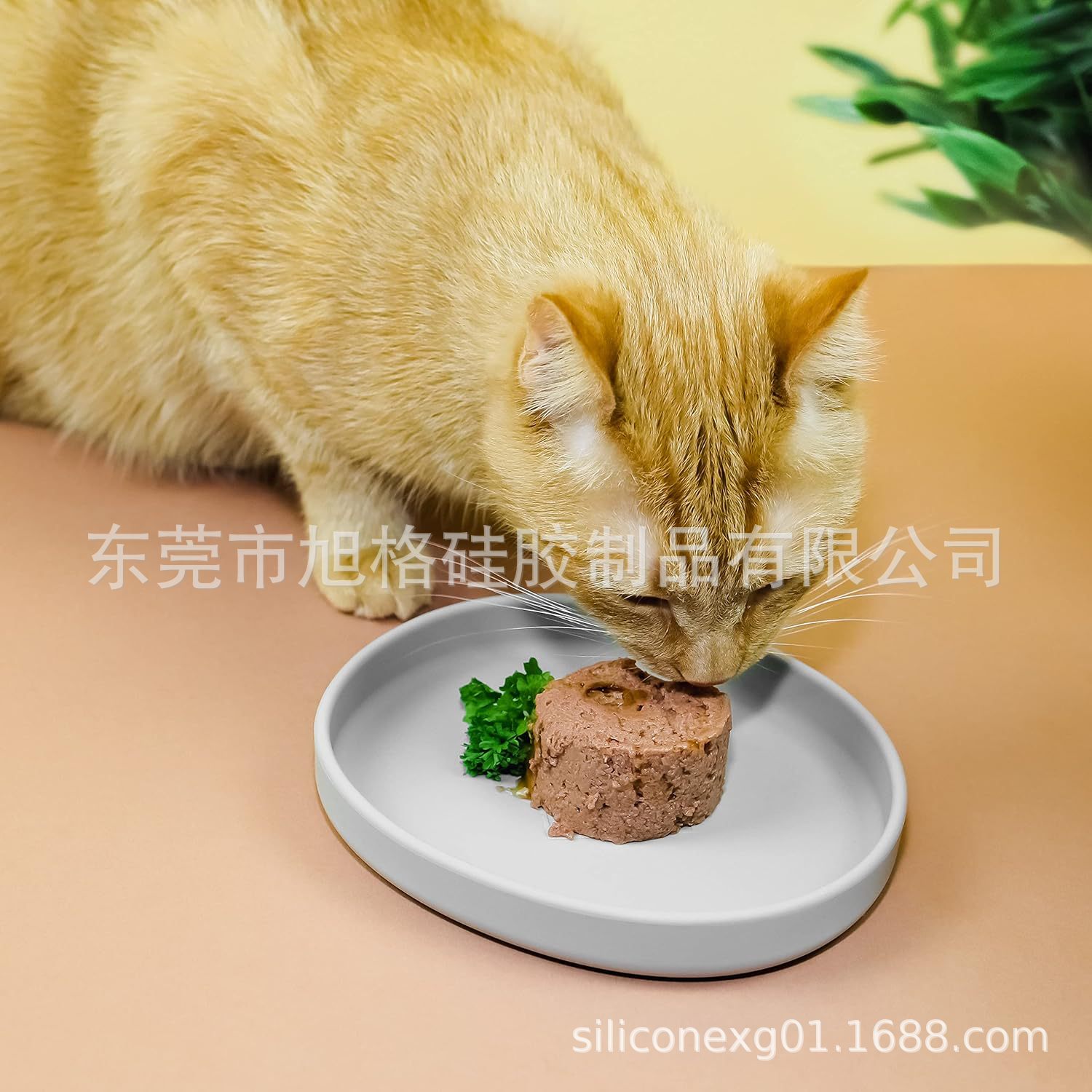 宠物硅胶餐盘碗