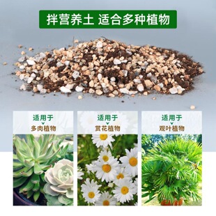 ��ɳ�����Y�ֺ�ɰ�������ʯ�����m�����w���Nֲ�B���~���쾰��ɰ