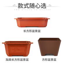 ����ɰ�L���λ���̖�\��Ӻ��R�����쾰���^��֬�������辰��
