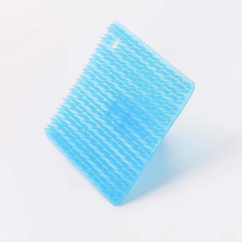 Blue brush for fruits and vegetables