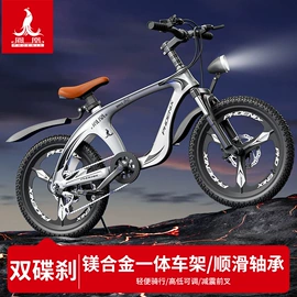 山地自行车;折叠自行车;自行车