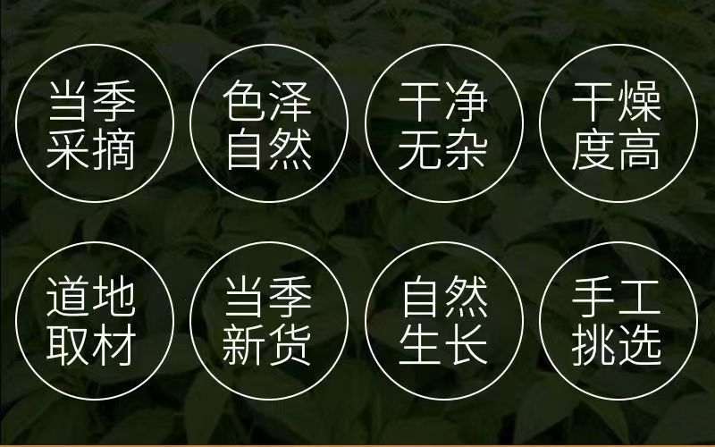 Yellow Tartary Buckwheat Tea Ku Qiao Mai 500g Loose Dried Grains for Daily Brewing quality and texture
