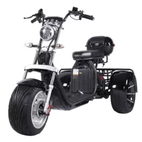 Оптовая продажа с фабрики Harley Электрический трехколесный велосипед для взрослых Harle 60V электрический мотоцикл внедорожный электромобиль