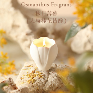 ���m����޹Ϟ�T�����҃ȳ־������p�ݸ߼����հ��ֶY�b[�����