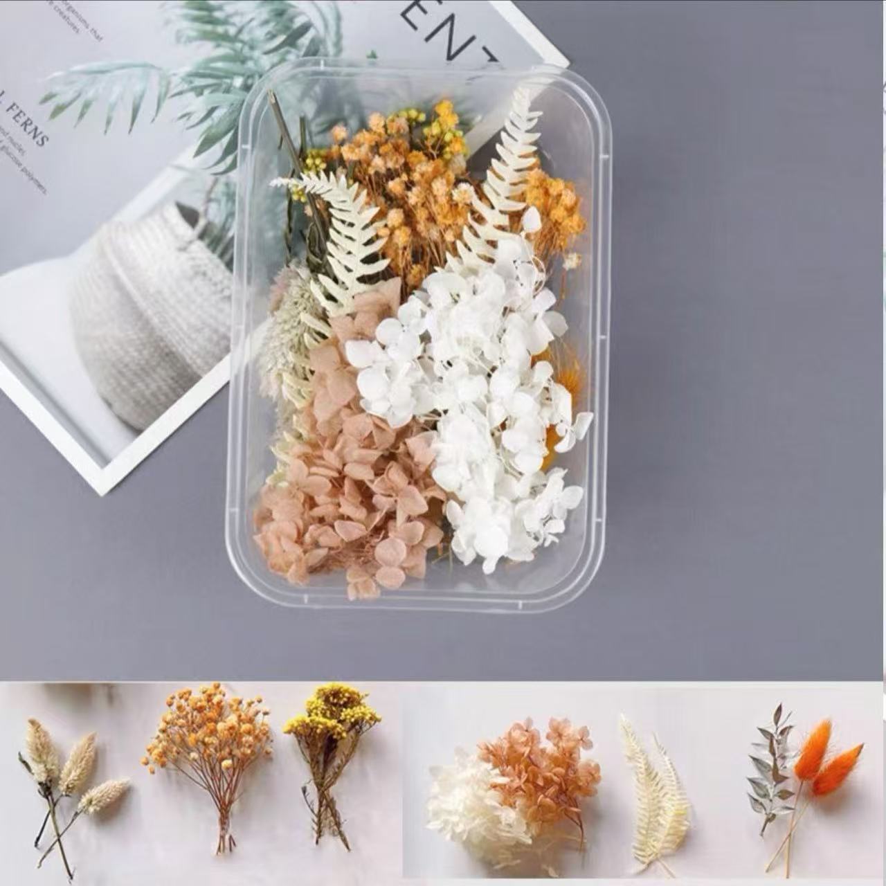 Paquete mixto de bricolaje, decoración hecha a mano, flor eterna, material de paquete de flores secas, marco de fotos de bricolaje, paquete de flores en relieve, día de la mujer