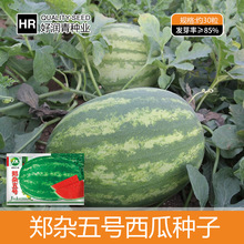 Դͷ��������֣����������������Ѵ��ļ�ˮ�����ѹϹ������Ѳ���