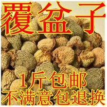 Ӹ ș  Ұ Ұݮ 500˰]