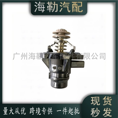 Range Rover (L460) 2022- Thermostat