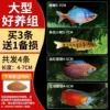 [Large and easy to maintain group] Buy 3 and get 1 free for loss B
