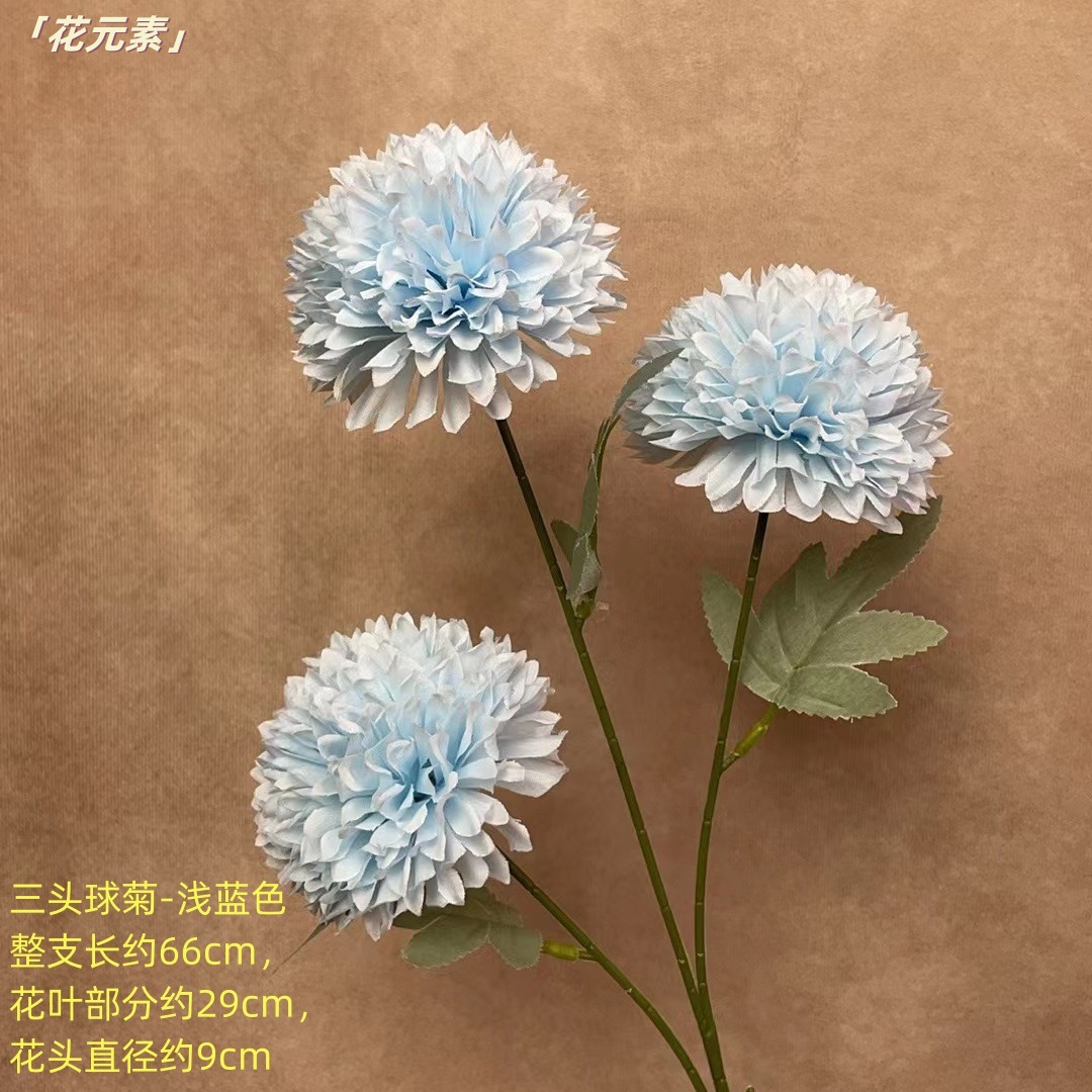라이트 블루