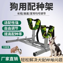 ������N�ܴ���С��Ȯ����������乷���ӌ��ﹷ����N�̶�֧����