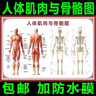 ���w�����D��D���ك��K�Y���D�������D�⼡��ֲ����ʈD�쮋