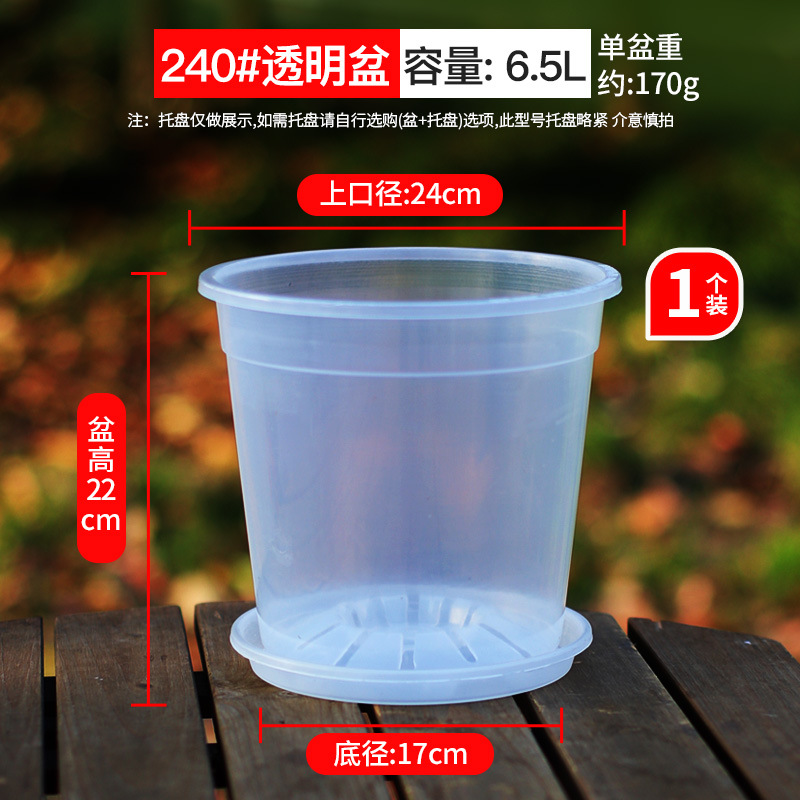 maceta especial para orquídeas mariposa maceta de montaña verde de alta transparencia maceta de orquídeas Wenxin maceta transparente maceta de observación de raíces maceta de control de raíces maceta de orquídea