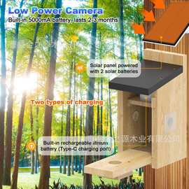 新款乡村风木质鸟窝雪松制成染料通风口通风方便清洁鸟窝