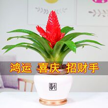 ��ؔ�ּt�������\���^����ֲ����l؛�k���҃Ȼ��ܾGֲ�����՚�