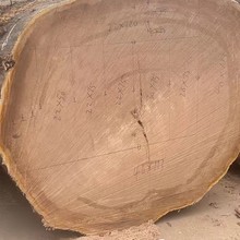 �M���ľ  �ľ �۲��� ����ƴ�� �ײİ� ԭľ���