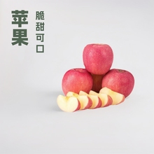 O ’ 崨شO12ö85OaضYдr