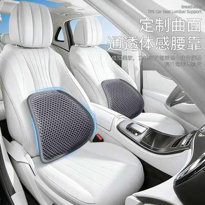 Seat Cushion, Waist support