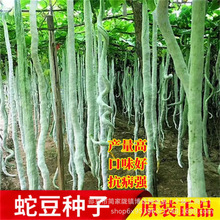 ߶N߹ϷNLǷNL߹ϷNӿ߮a߶N