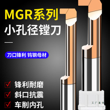 MGRС׏Mu䓺Ͻ܇۵M׵ȿ׵΢͵