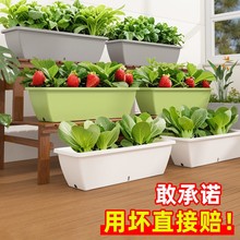 ԭ���c���ϻ�������L�����̨�N�����ݮ�Nֲ���߲ˌ������L�l��