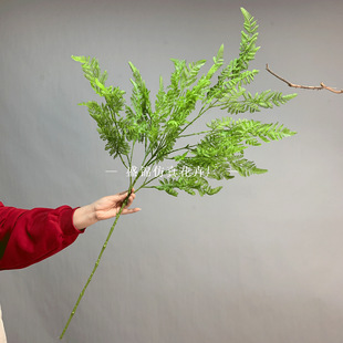 Fɏ֧b ֲPβˮ 廨ˇ ϲ