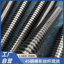 ���S�ӹ�45����ͽz�Uȫ�ݼy�z�������S�~���m��ĸ1�� 2��3�׿ɲ�