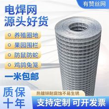热镀锌铁丝网围栏养殖网栅栏防鼠防护铁网网片网格阳台钢丝护栏网